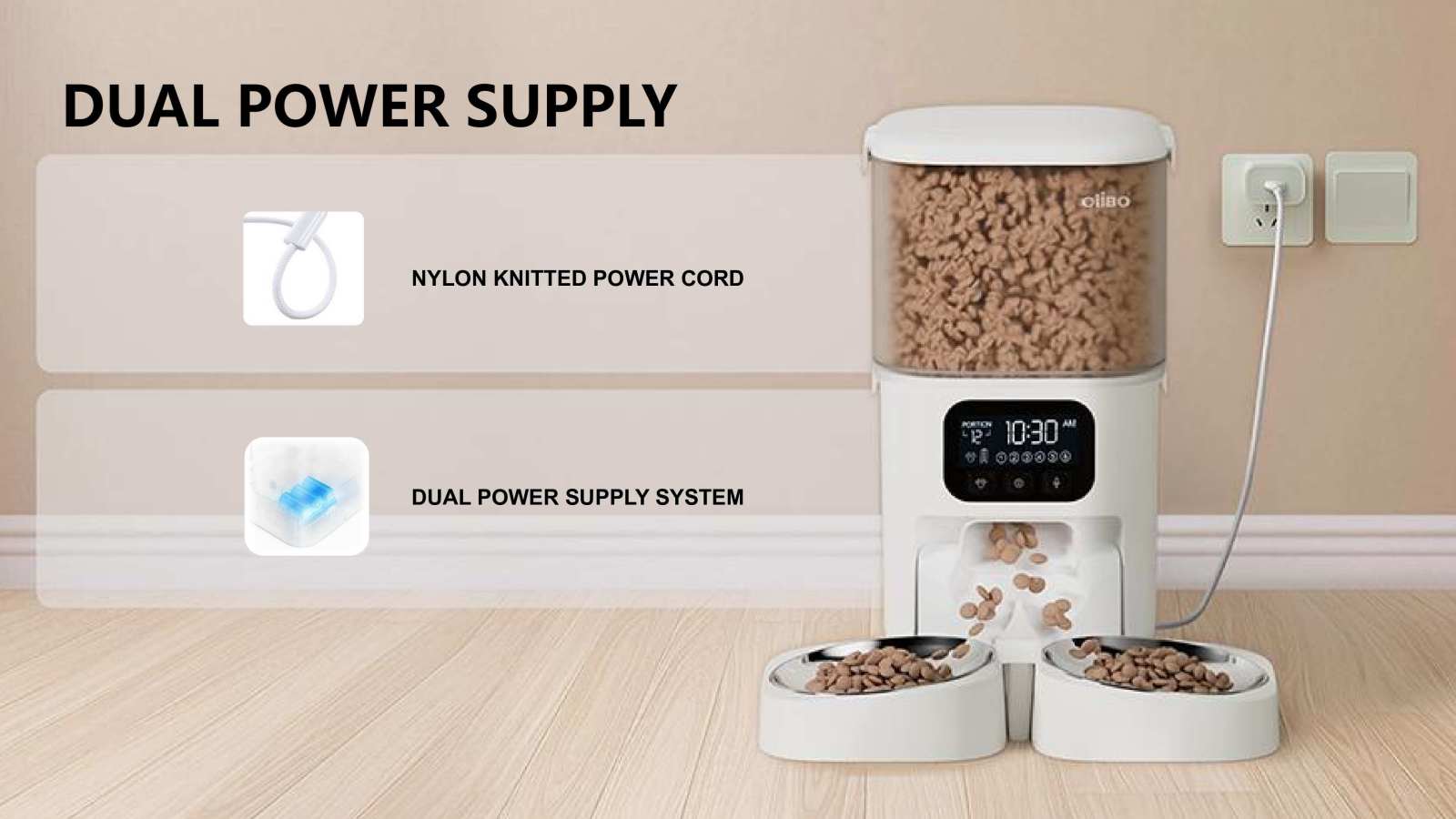 Dual Power Supply System